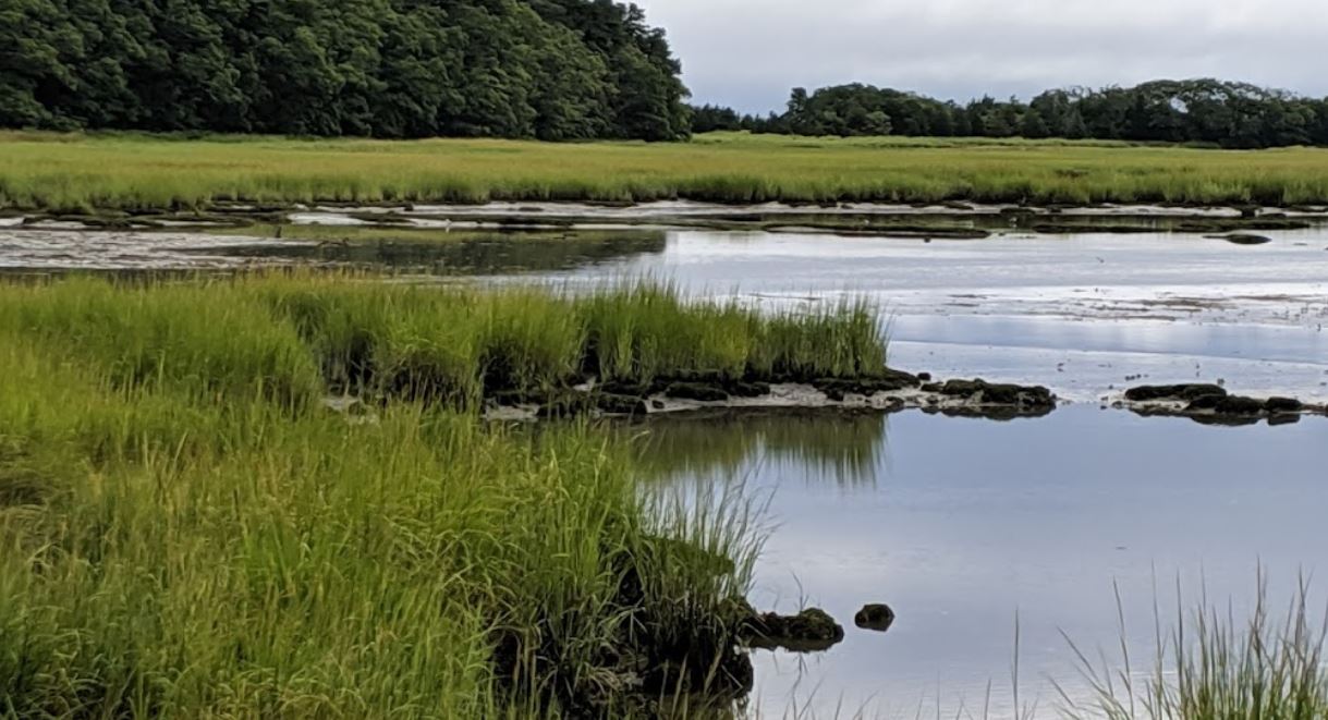 Springy Ma Ellisville Spring, Plymouth MA – Directions & Water Info | Try Water